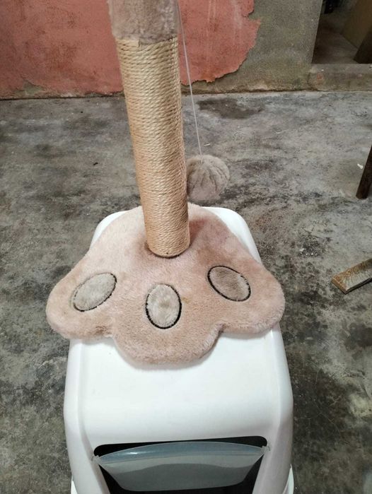Utensílios para gato