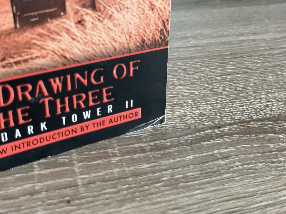 Stephen king the dark tover 2,3