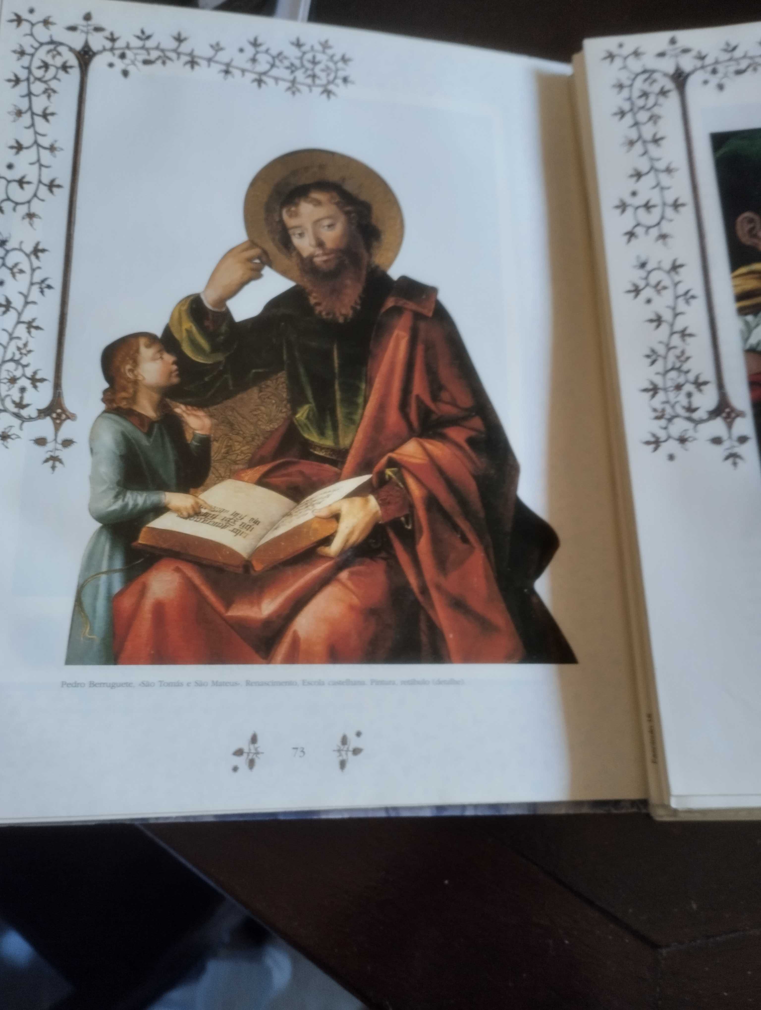 Bíblia Sagrada Novo Testamento ilustrado