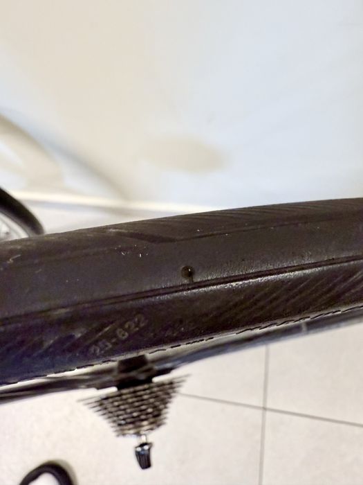 Koła Campagnolo Scirocco