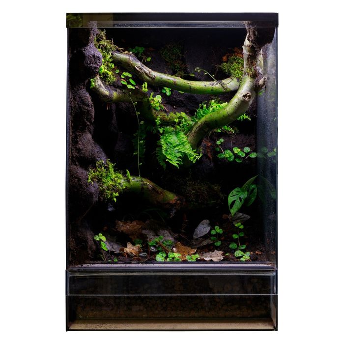 Terrarium tropikalne 40x40x60