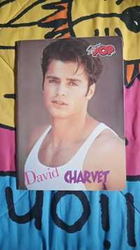 Capa Escolar Super Pop c/David Charvet + oferta poster Brad Pitt