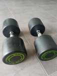 alteres de ginásio 25kg
