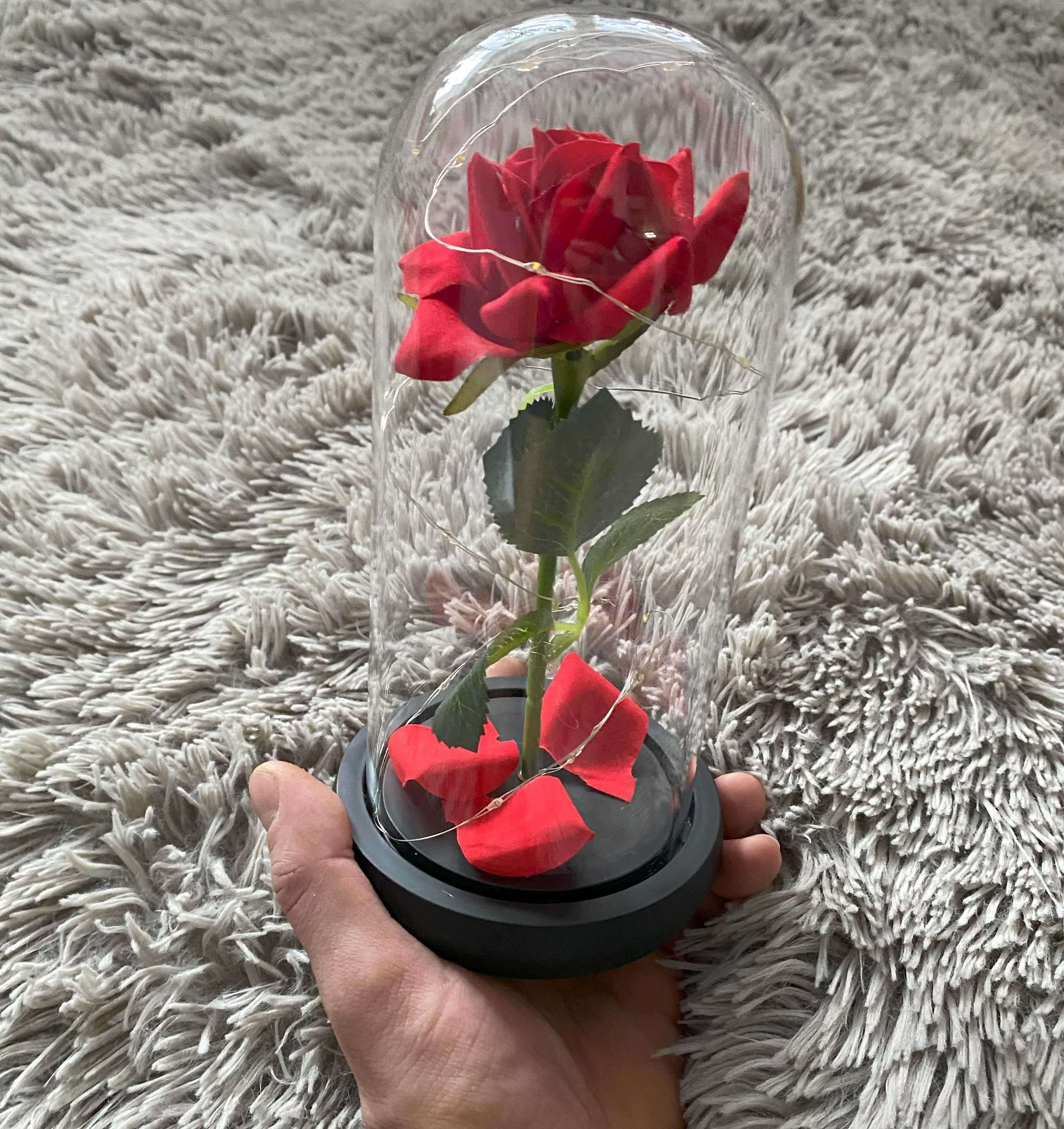 Czerwona Wieczna Róża w Szkle LED na Walentynki Dzień Kobiet Urodziny