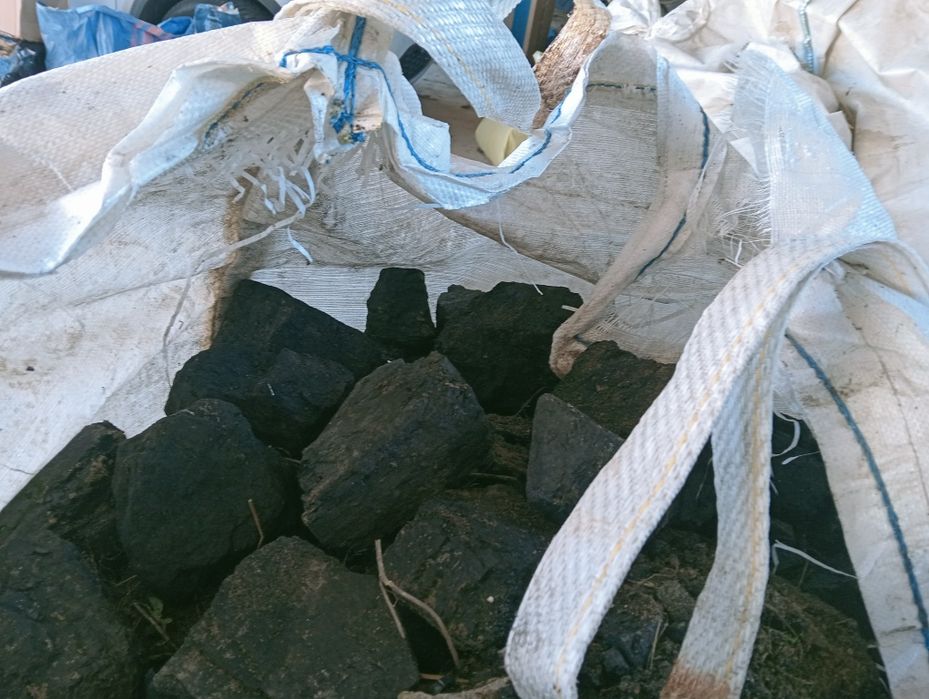 Węgiel gruby Polski