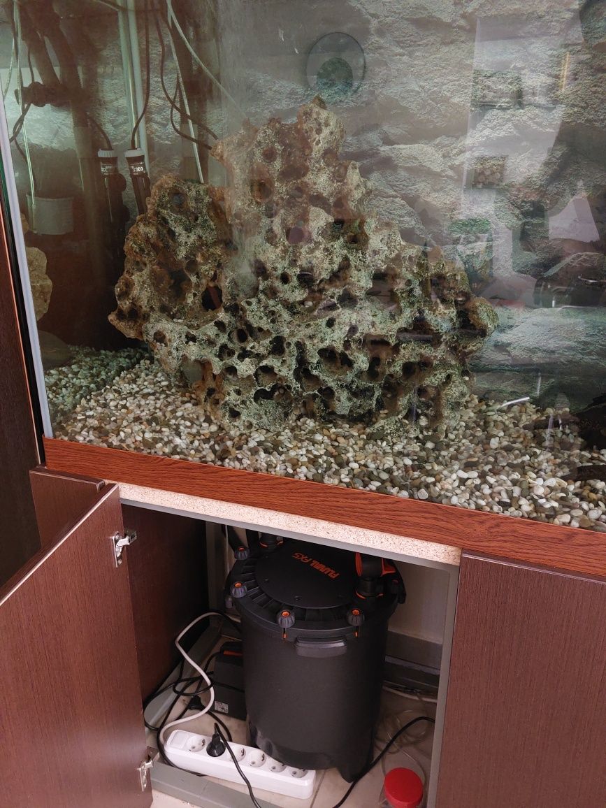 Продам елітний акваріум на 1000 літрів з мешканцями та декором