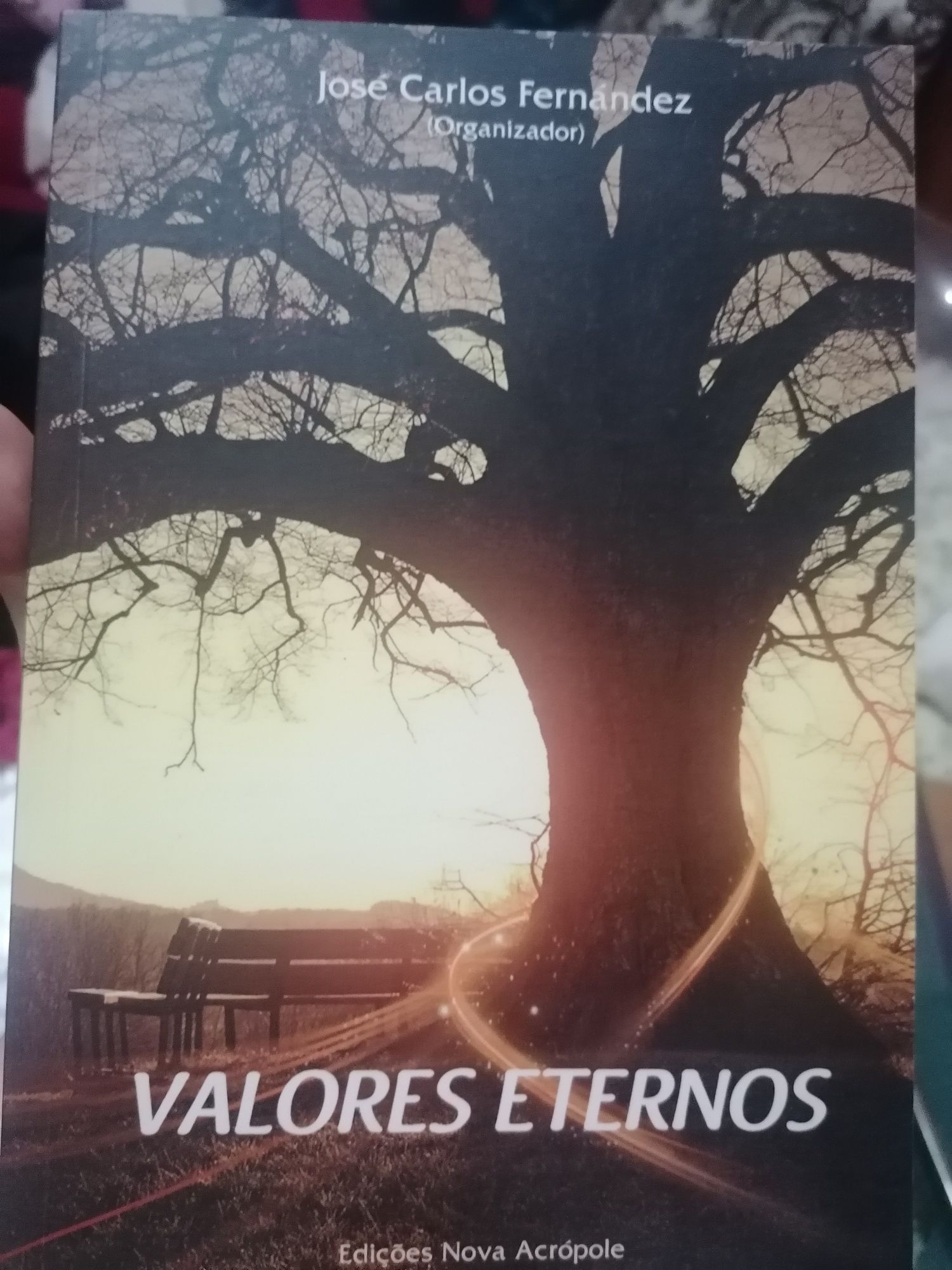 Livro Valores Eternos - José Carlos Fernandez
