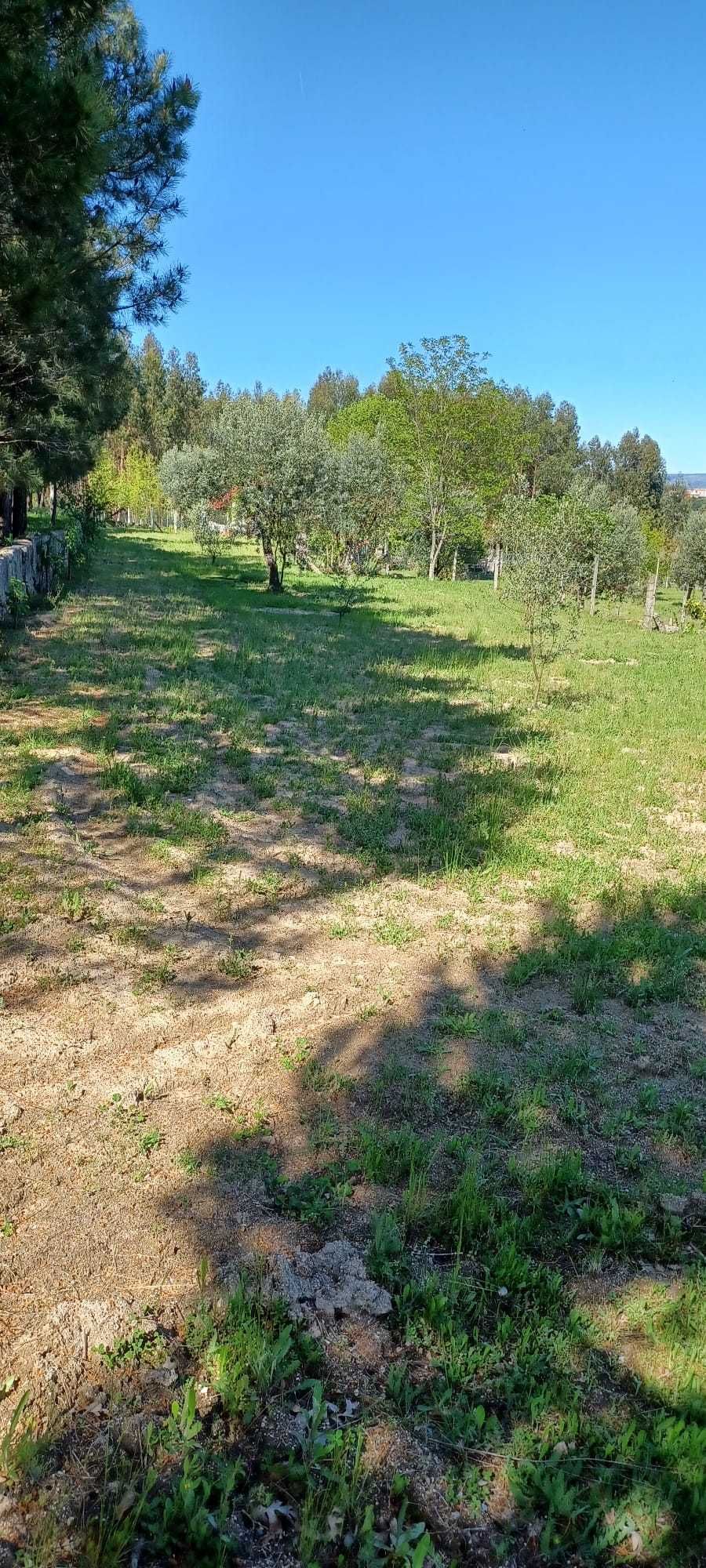 Quinta + Mata com vista para a Serra da Estrela