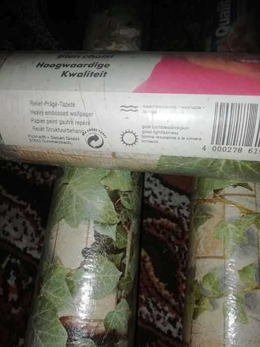 Tapeta ścienna z motywem bluszczu i cegieł