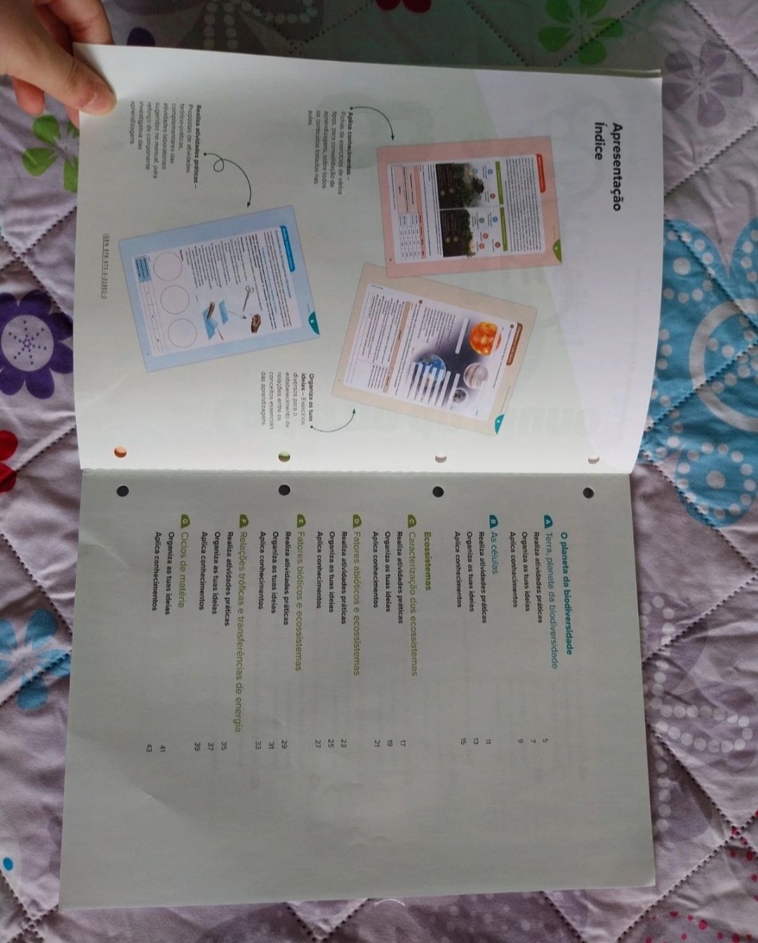 Caderno atividades Eco Cientic 8.º Ano (Porto Editora)