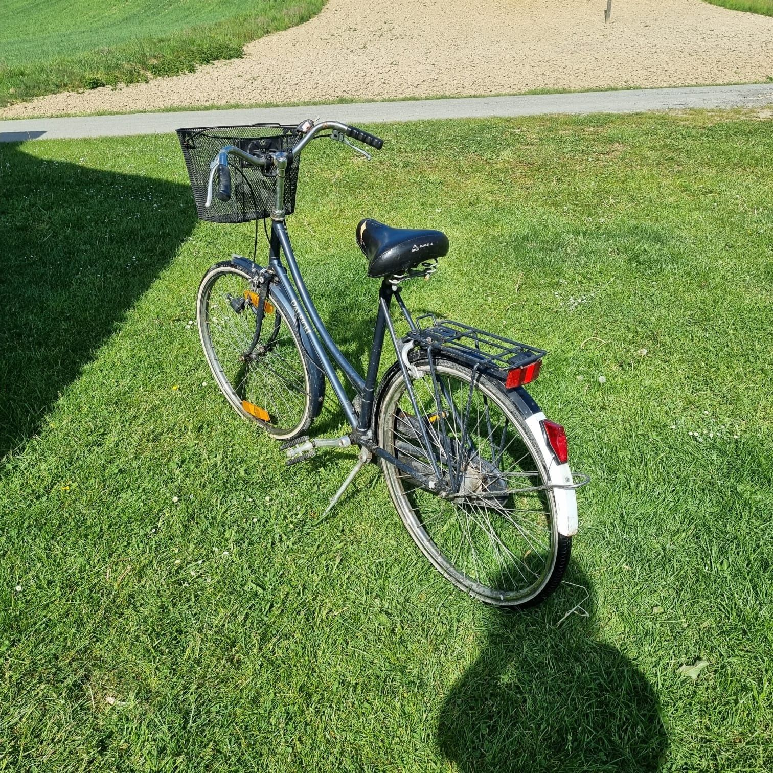 Rower Raleigh damka