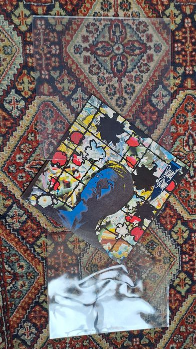 Capa de plástico para capa do vinil