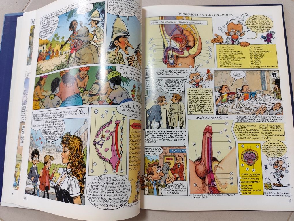Livro: A Arte de Bem-Amar - A Sexualidade em Banda Desenhada