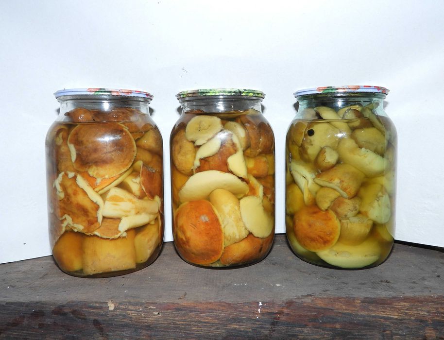 Гриби мариновані білі та інщі