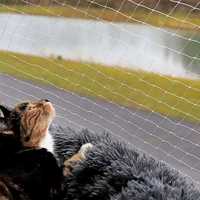 NOVO - Rede de Proteção, rede de gato, rede de varanda - PORTES GRÁTIS