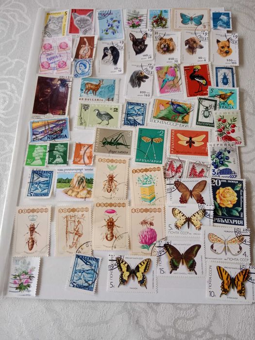 znaczki pocztowe mix świata 250 szt. FAUNA