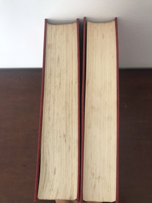 Dicionário inciclopedia