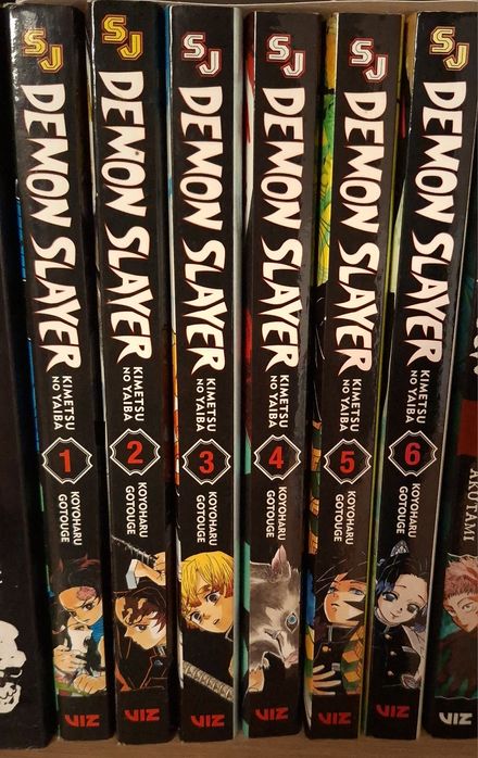 Demon Slayer/My Hero Academia/One Punch Man/The Promised Neverland/...