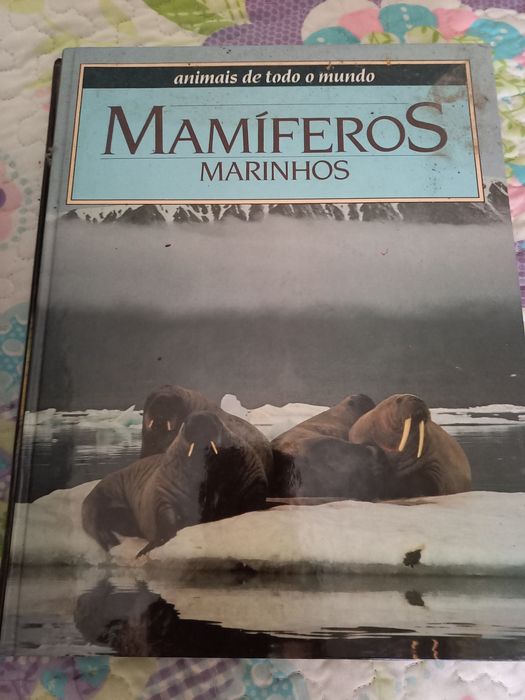 Vários Livros 1€