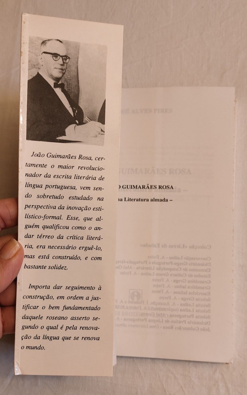 João Guimarães Rosa - Uma Literatura almada