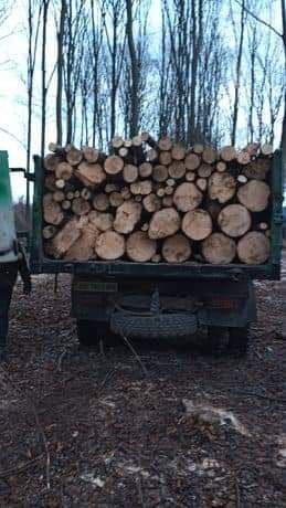 Продам дрова метрові твердих порід