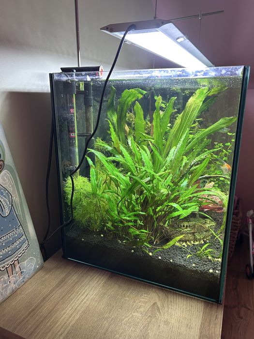Akwarium 112l 80cm kompletny zestaw oswietlenie Chichiros wyposazenie