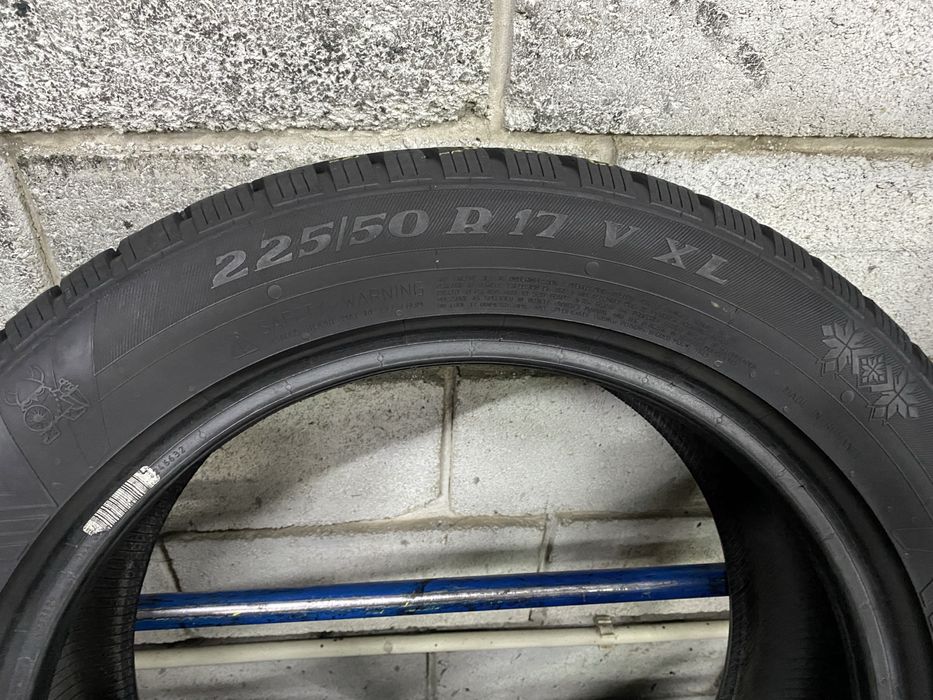 Зимові шини 225/50 R17 (98V) VIKING