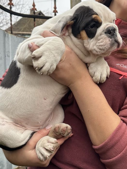 Шикарна крупна дівчинка