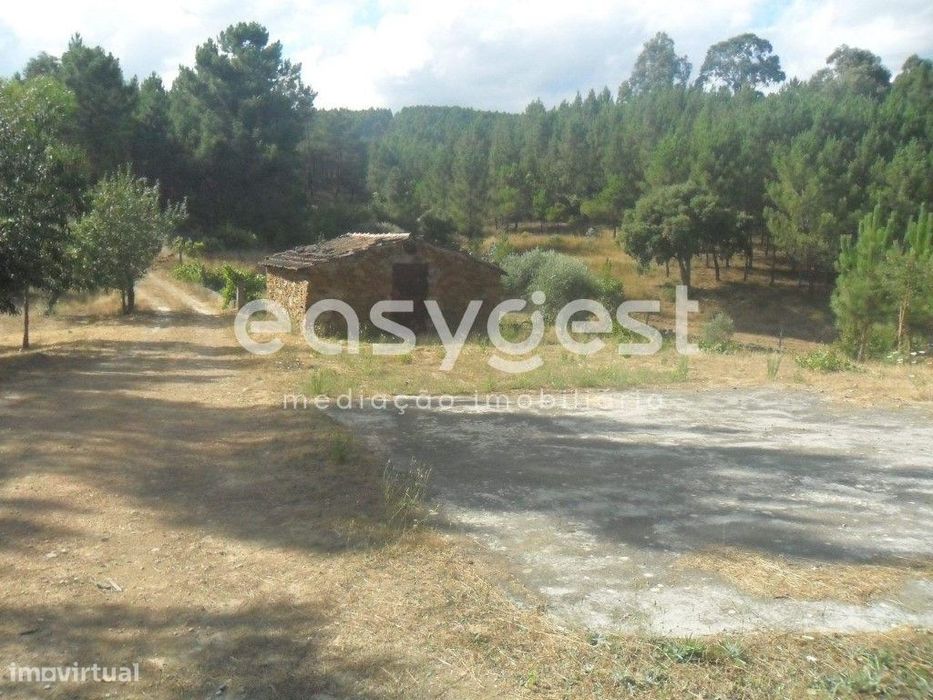 Maravilhoso Terreno Rústico com regadio, olival e vinha
