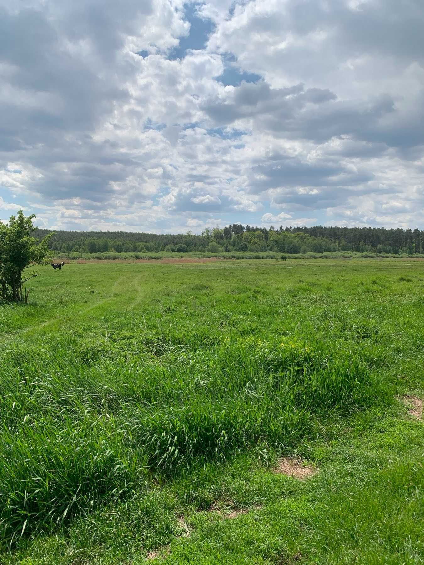Продам. Зем.ділянка 1.05га. с.Федорівка.Під забудову. Хозяїн