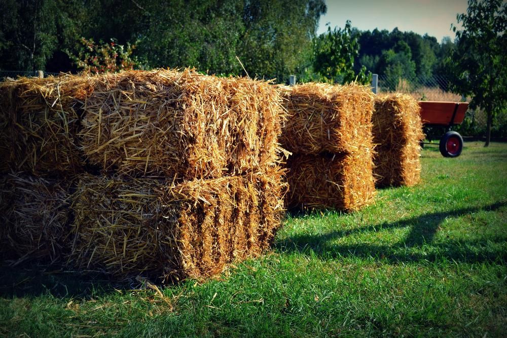 Słoma w kostkach 2024!! (Snopek) Tegoroczne Wysyłka, Możliwy Transport
