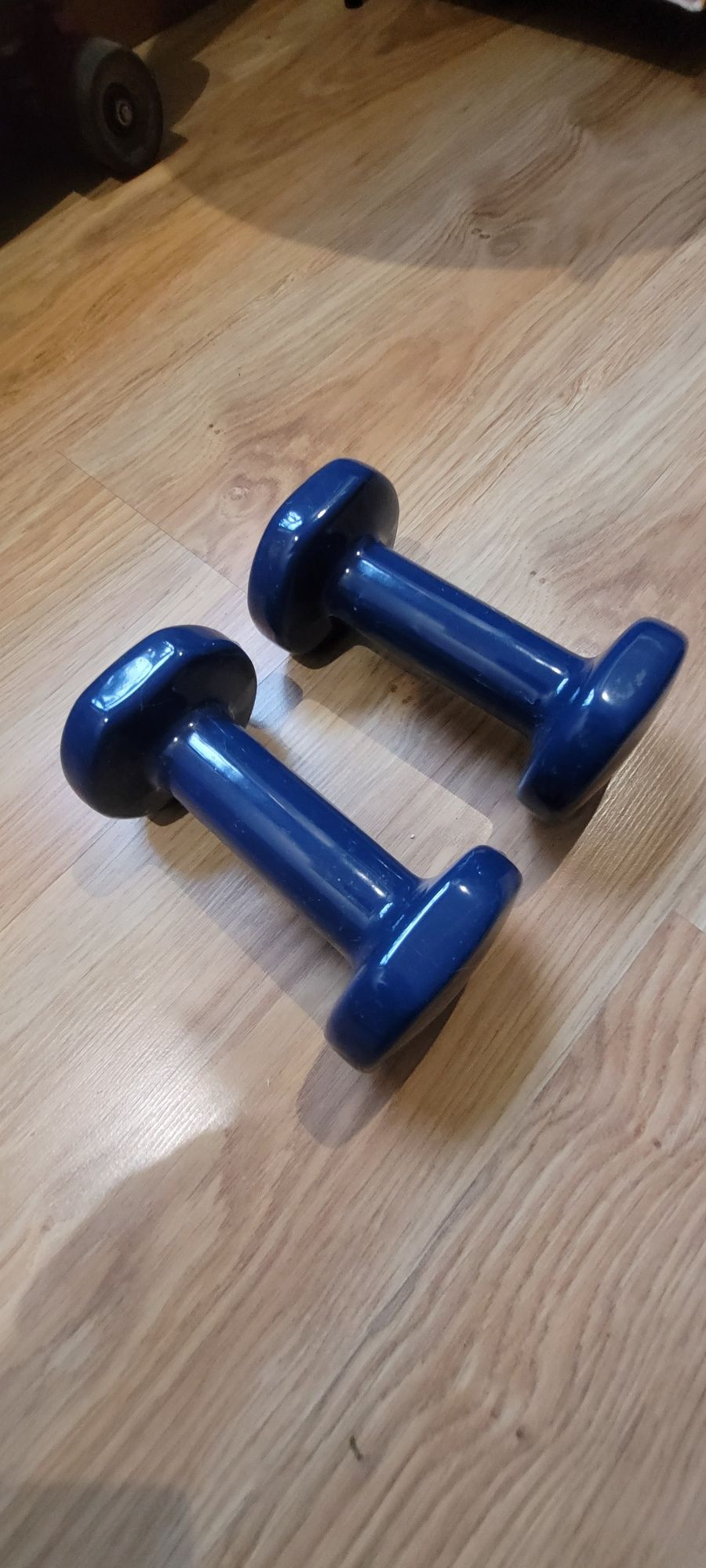 Alteres 2kg Decathlon originais