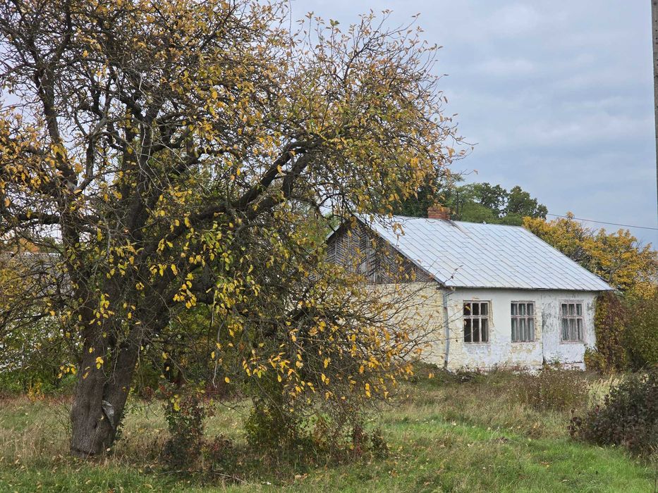 Działka 1500m2 ze starym, murowanym domem - Janina gm. Busko-Zdrój