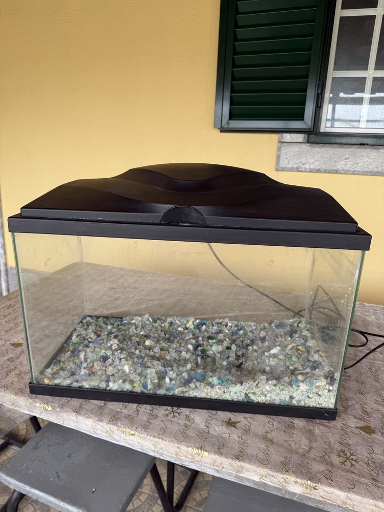 Aquário 60cmx36cm