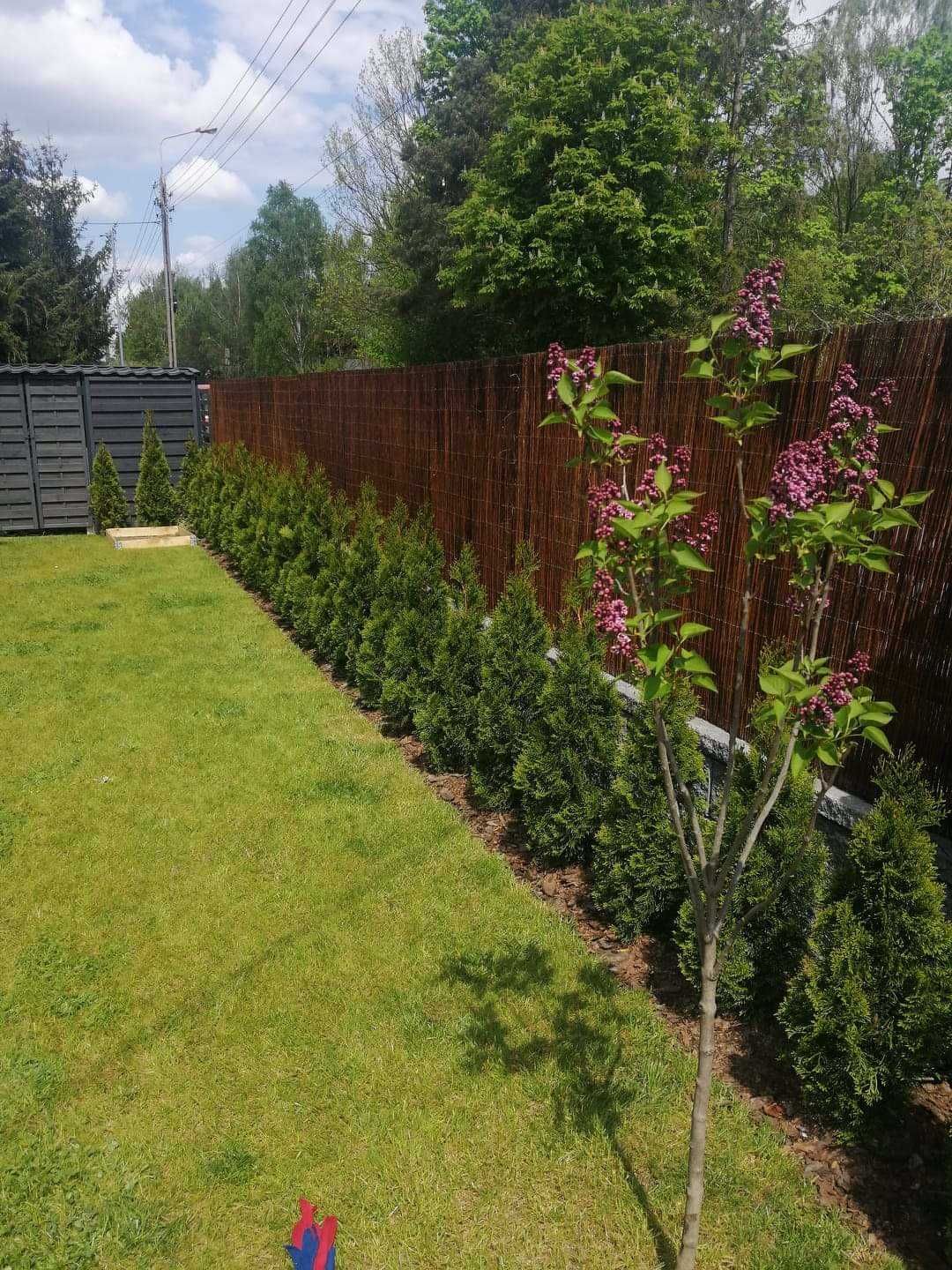 MATA WIKLINOWA Premium 120x500 cm - Impregnowana osłona na balkon