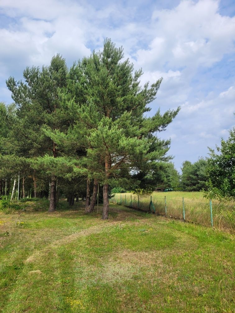 Domek letniskowy