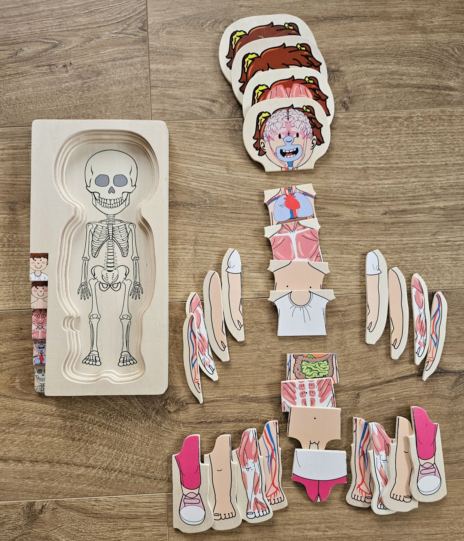 Drewniana układanka ciało człowieka dziewczynka