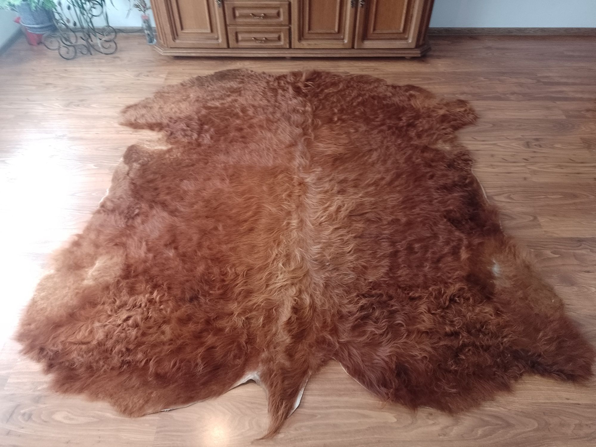 Skóra bydlęca highland cattle