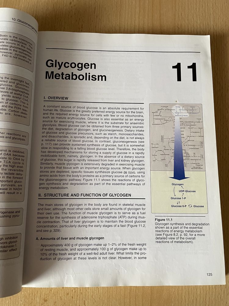 Biochemia (Biochemistry Lippincott's 5th Edition)