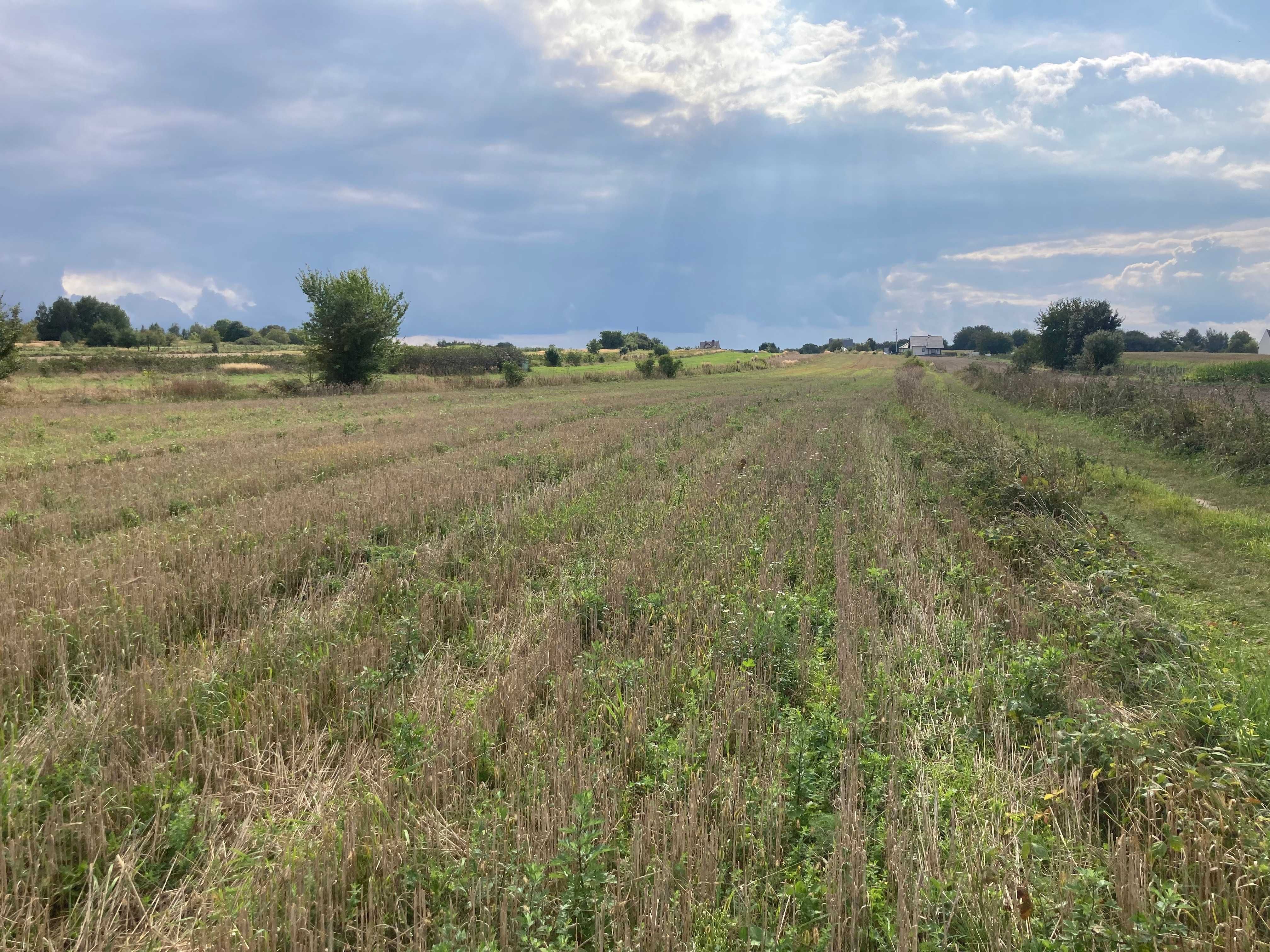 Działka budowlana Kraśnik