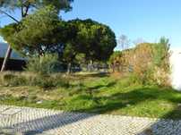 Lote de terreno para construção de moradia - Vale do Garrão