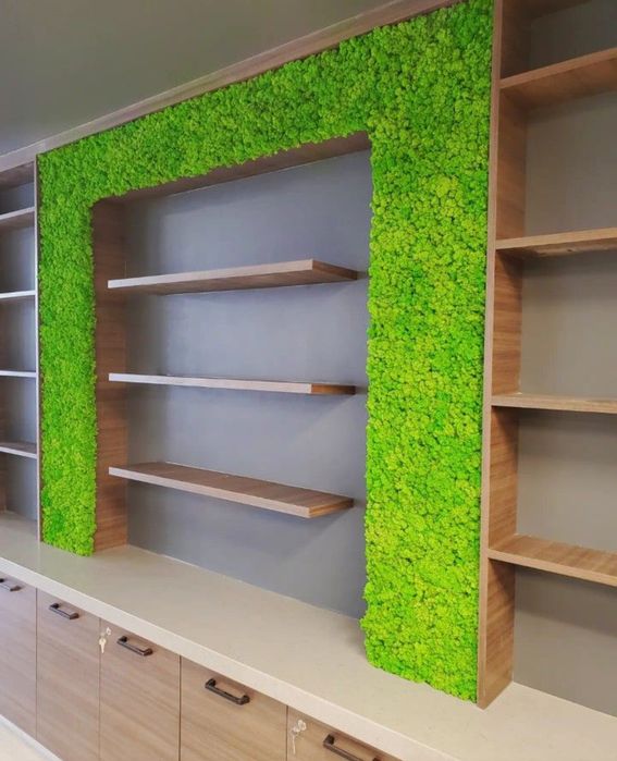 Обшиваєм стіни в кафе ресторани салони , стабілізованим мохом еко стил