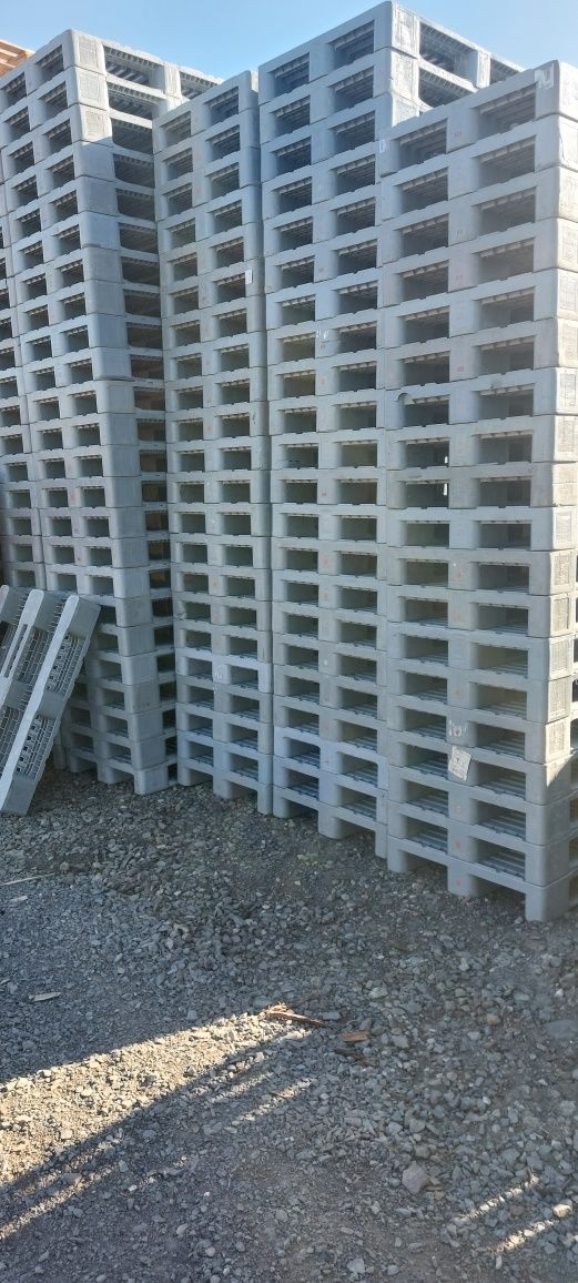 Skup palet drewnianych,plastikowych