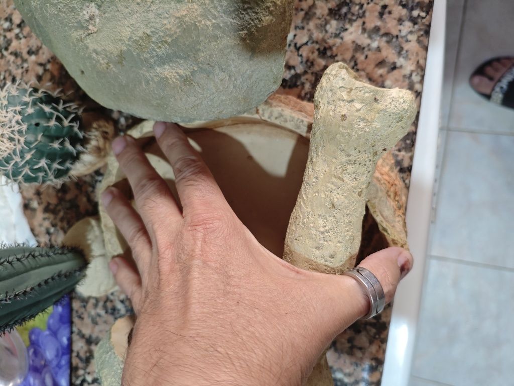 Acessórios para terrários