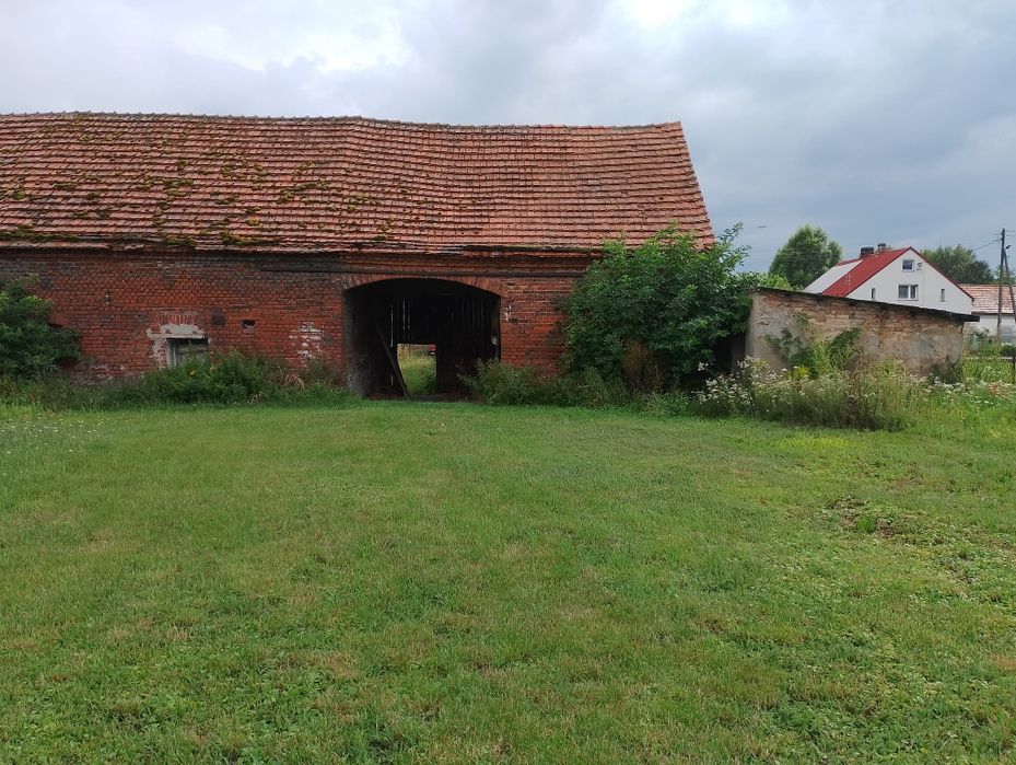 Dom w Gogołowicach w cenie mieszkania