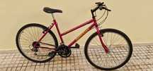 Bicicleta 26 - senhora
