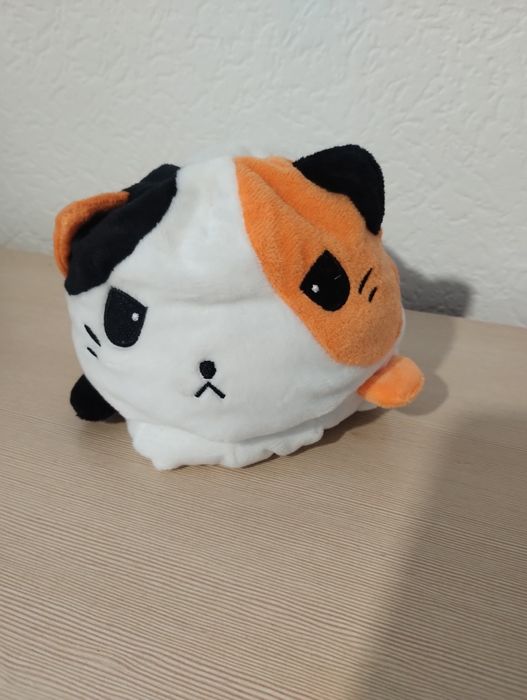 Maskotka kot dwustronna