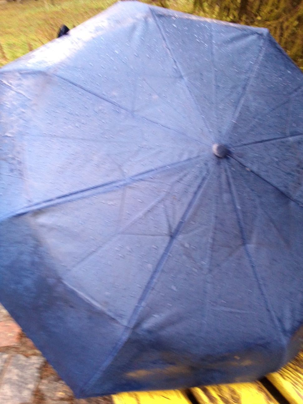 Зонт парасолька, рюкзак