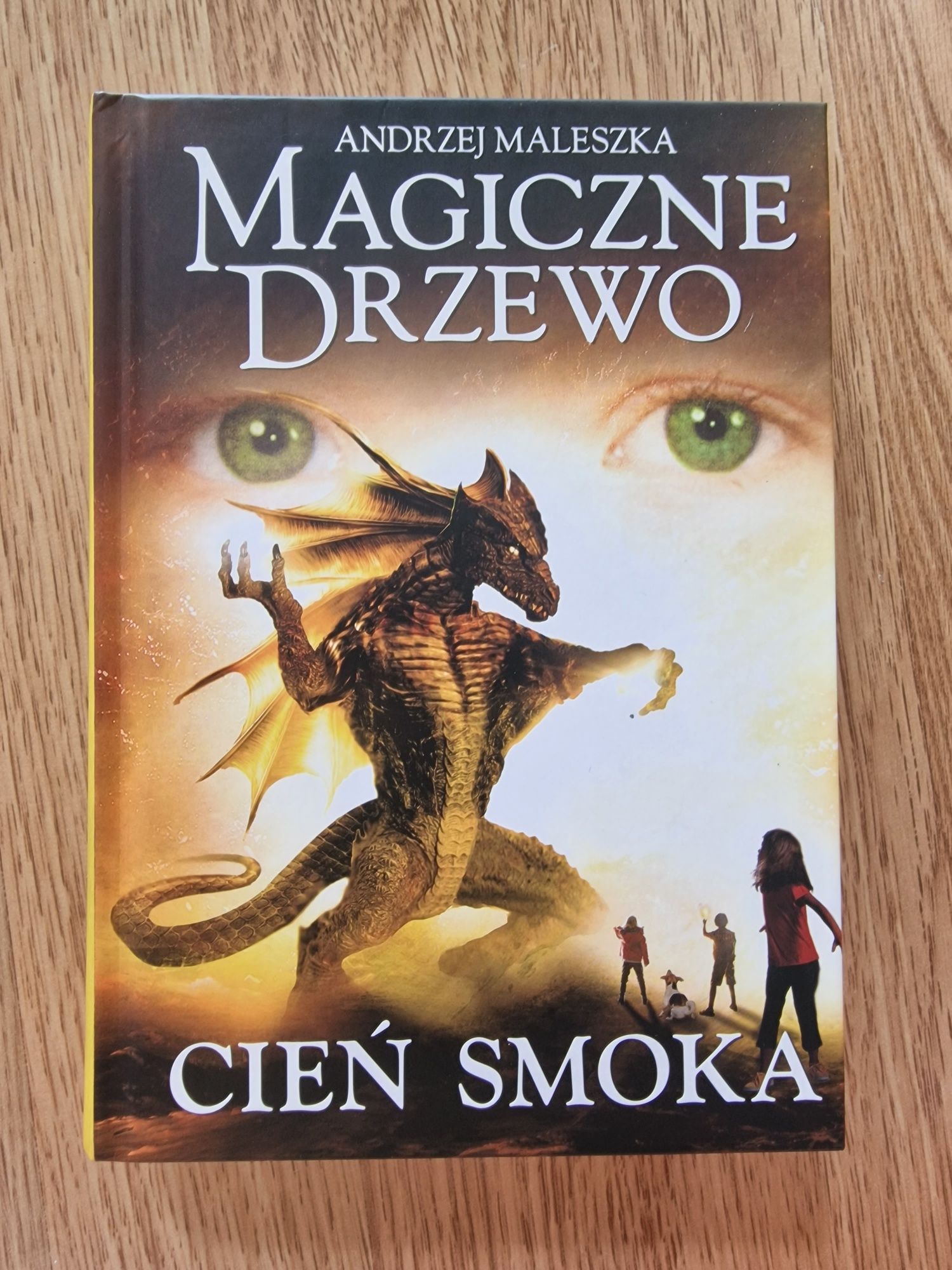 Książka Magiczne Drzewo Cień Smoka Andrzej Maleszka