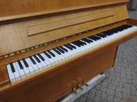Czeskie Pianino Petrof M114 piękny jasny w dębie z ciepłym Brzmieniem